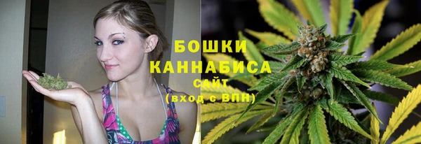 молекула духа Магадан