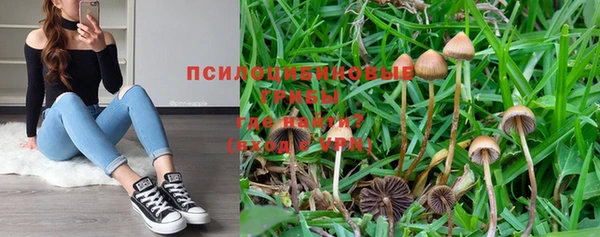 молекула духа Магадан