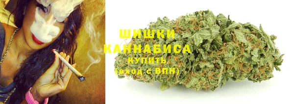 молекула духа Магадан