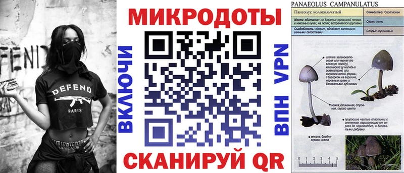 Купить закладки  Ирбит  Псилоцибиновые грибы MAGIC MUSHROOMS 